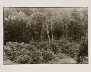 Outskirts of Oakland.