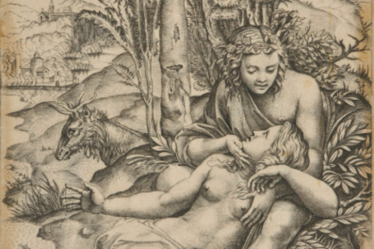 ANGELIQUE AND MEDOR