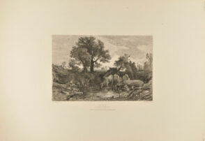 Les vaches à l’abreuvoir