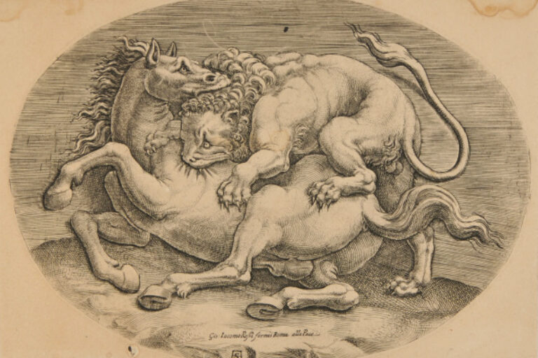 COMBAT BETWEEN LION AND HORSE