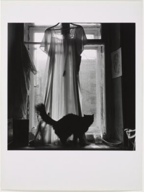 St. Petersburg (Cat in Window)