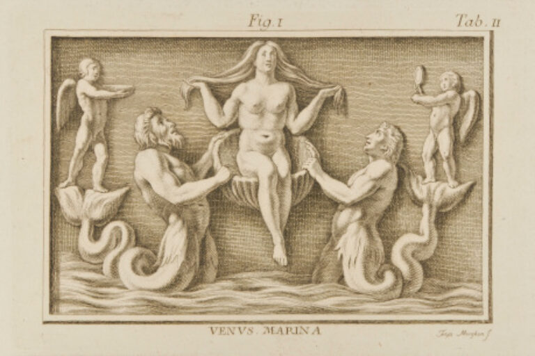 VENUS MARINA