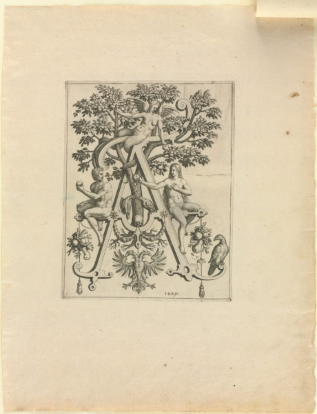 From the series “Nova Alphati Effictio” - Image 1