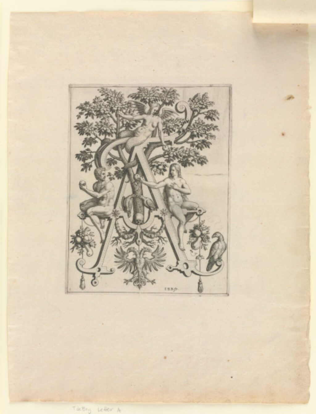 From the series “Nova Alphati Effictio” - Image 2