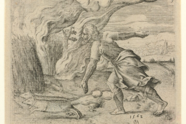 SAMSON SENDS FOXES TO DESTROY PHILISTINES' CROPS