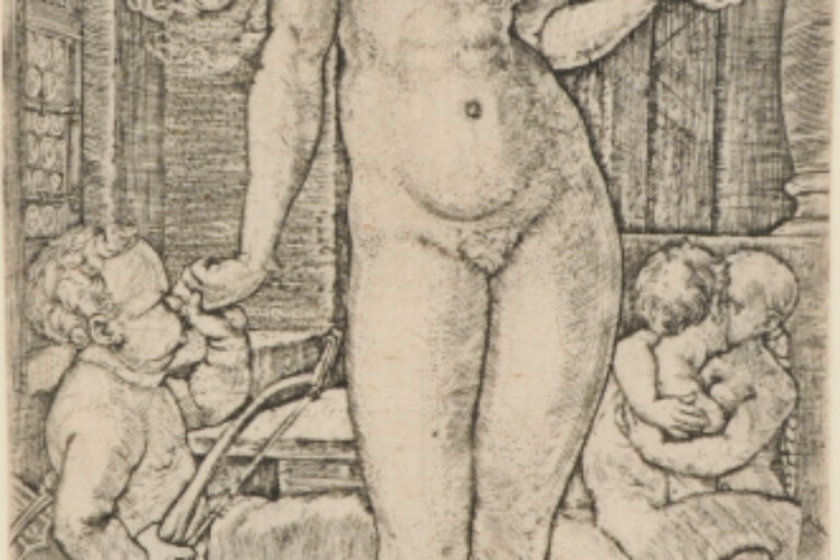 VENUS