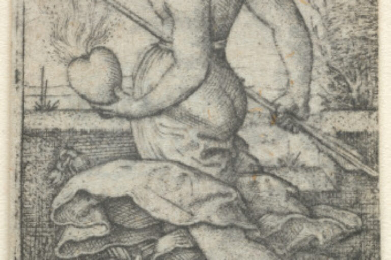 VENUS