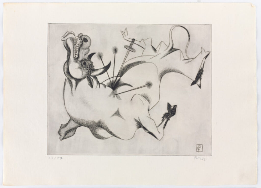 From the portfolio “Black Bull” - Image 2