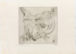 From the portfolio “Black Bull”