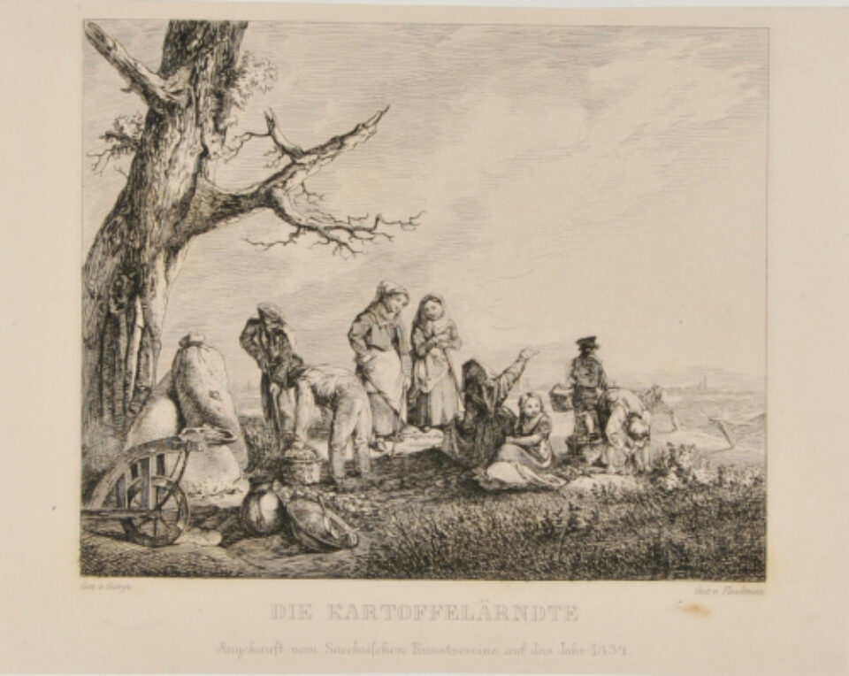 Friedrich Traugott Georgi