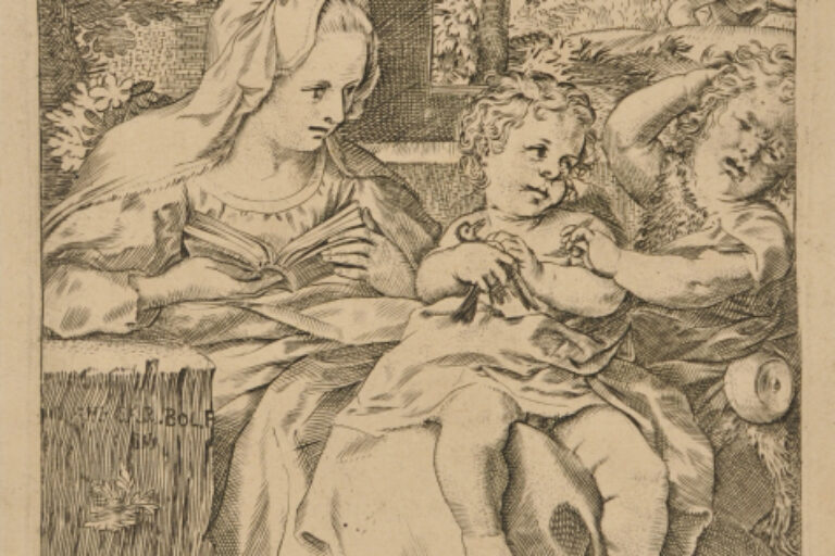 THE VIRGIN OF THE SWALLOW