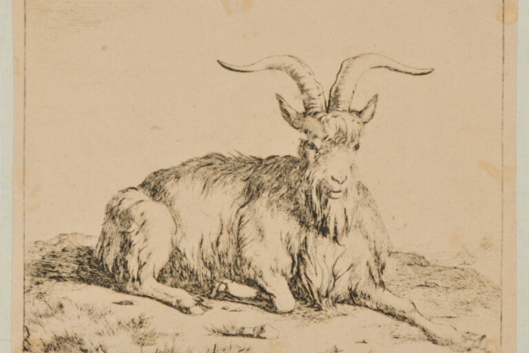 PLATE 4