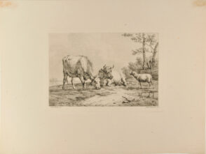 Two Cows and a Sheep