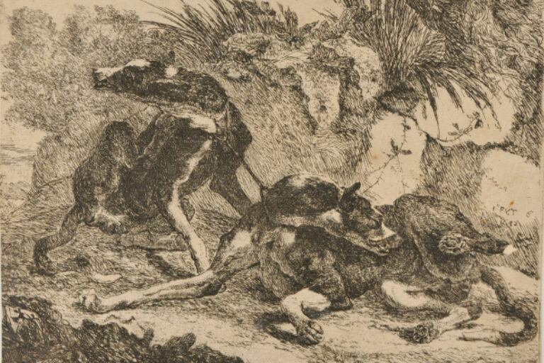 TWO GREYHOUNDS LEASHED TOGETHER