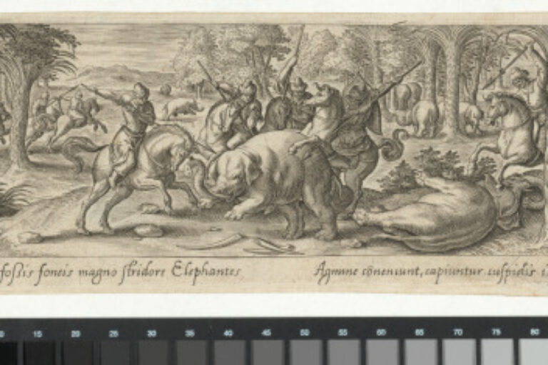 THE ELEPHANT HUNT