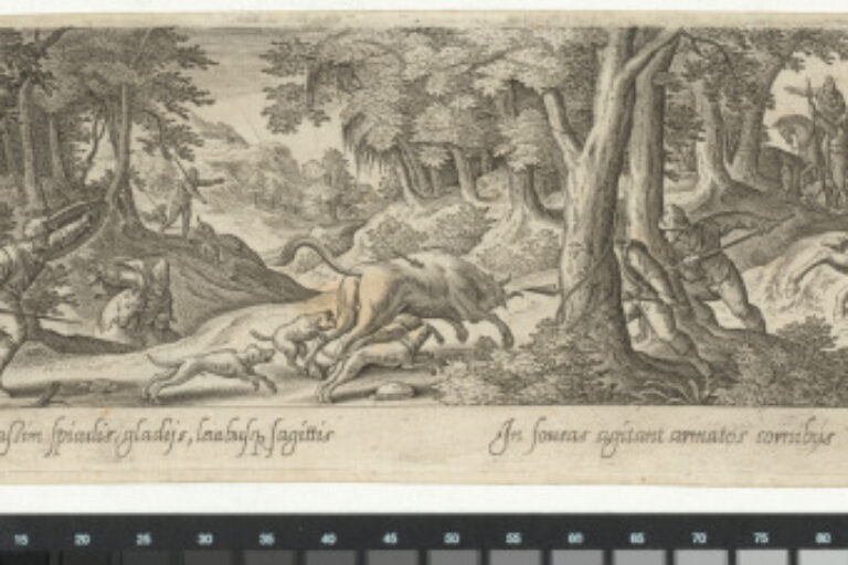 THE OX HUNT