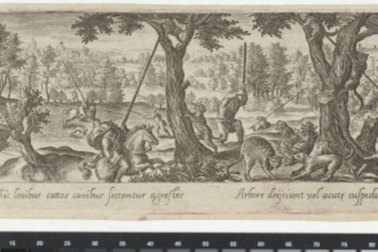 THE LEOPARD HUNT