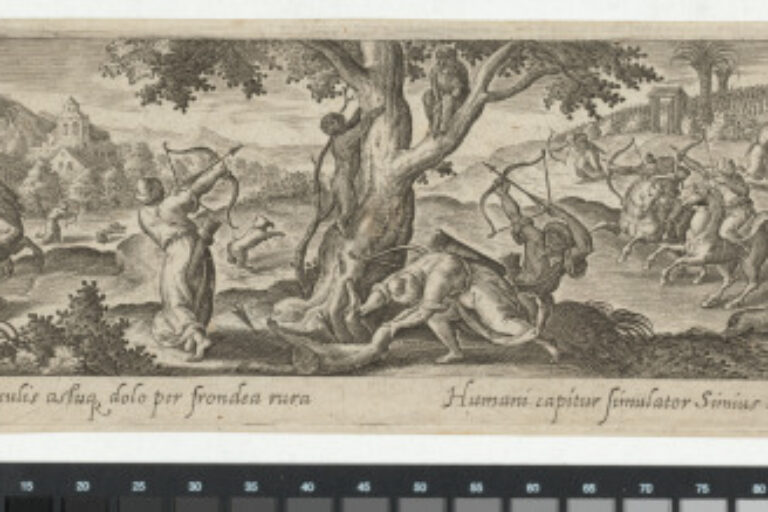 THE MONKEY HUNT