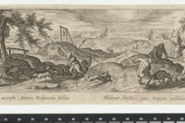 FOX HUNT WITH FIRE