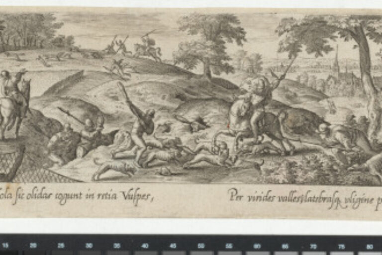 THE FOX HUNT