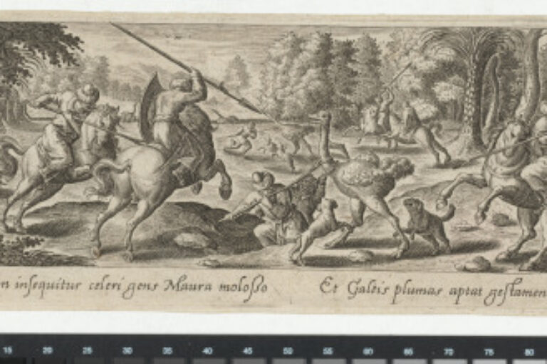 THE OSTRICH HUNT