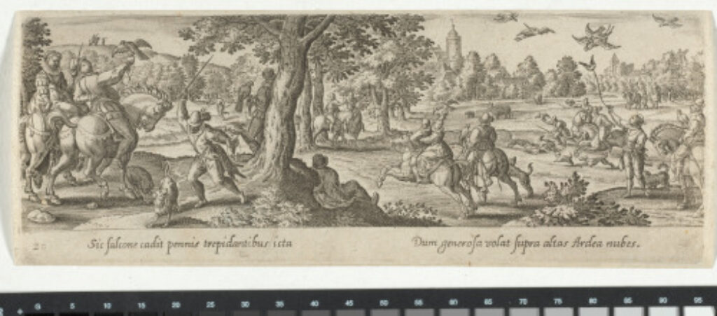 The Heron Hunt with Falcons