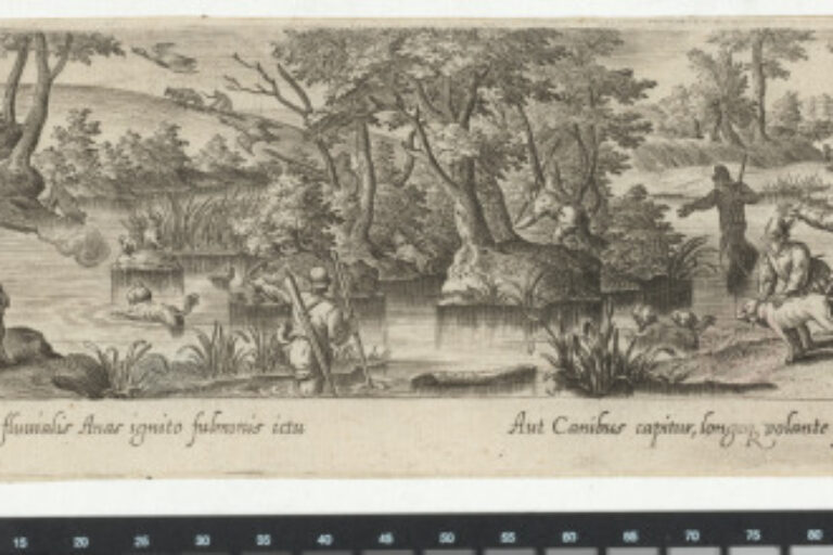 THE DUCK HUNT IN A STREAM
