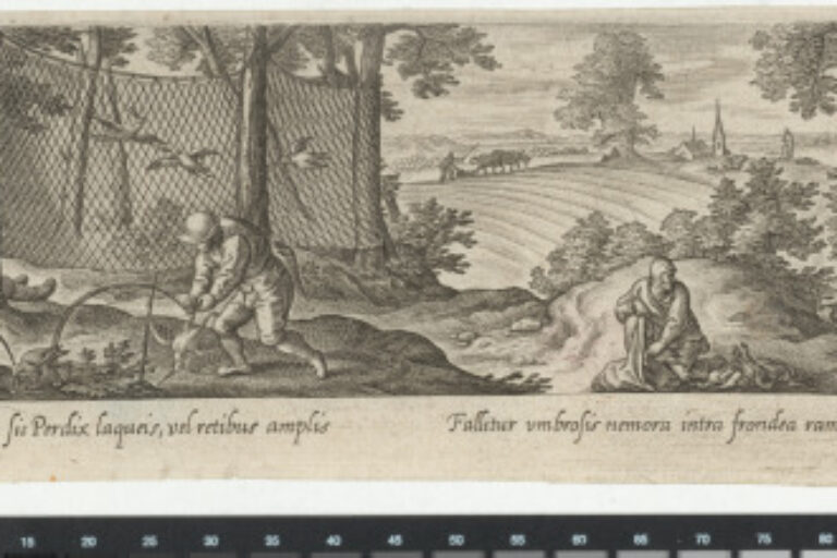 THE WILD BIRD HUNT WITH TRAPS AND LARGE NET
