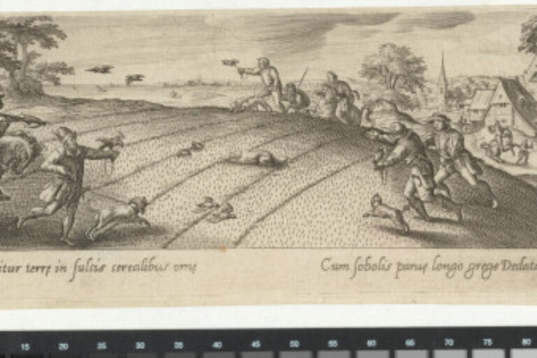 THE BIRD HUNT IN THE WHEAT FIELD