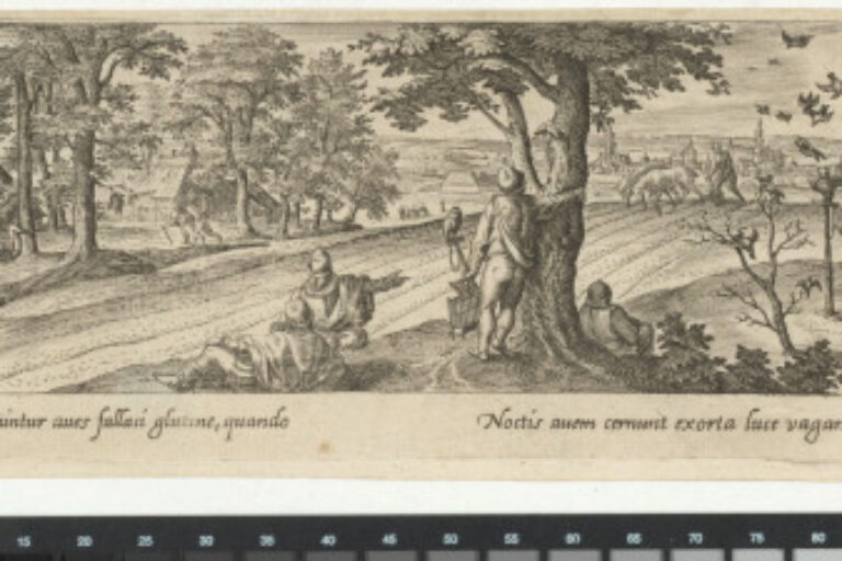 BIRD HUNT WITH BIRD-LIME