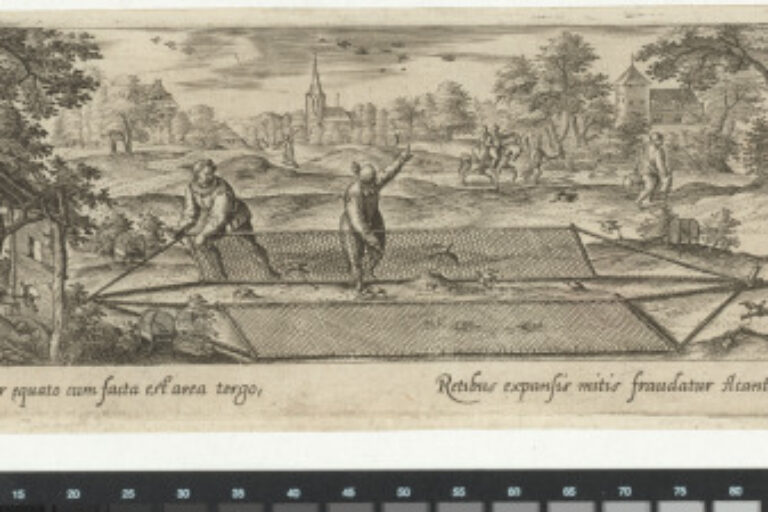 BIRD HUNT WITH NETS