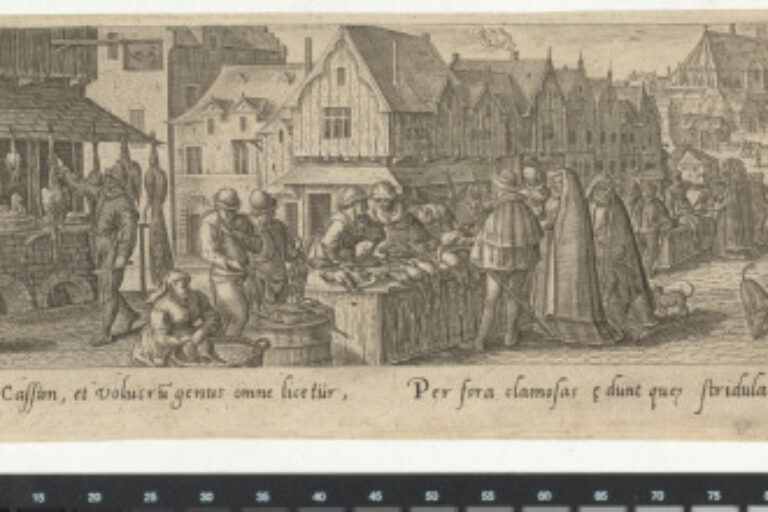 THE BIRD MARKET