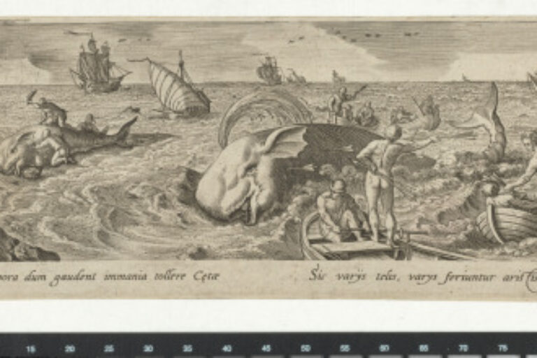 THE WHALE HUNT
