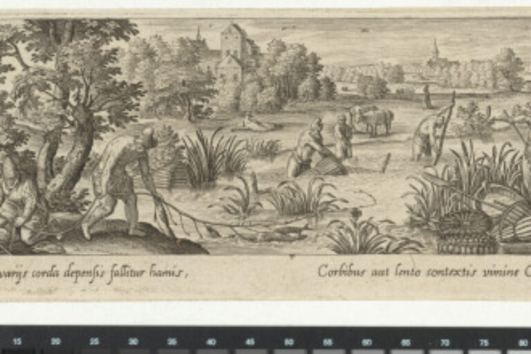 FISHING FOR CARPS