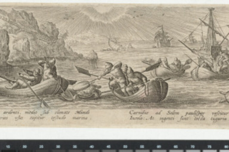 THE SEA TURTLE HUNT