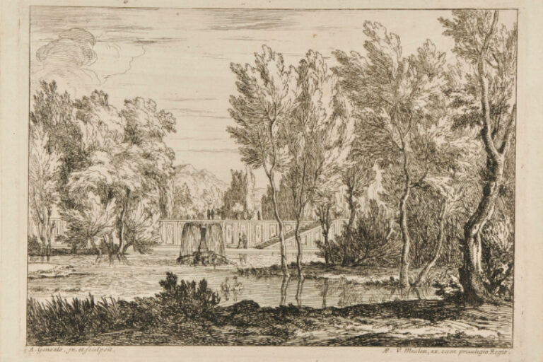 THE SWANS ON THE LAKE