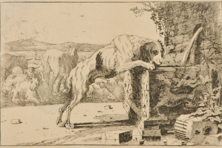 THE DOG AT THE FOUNTAIN