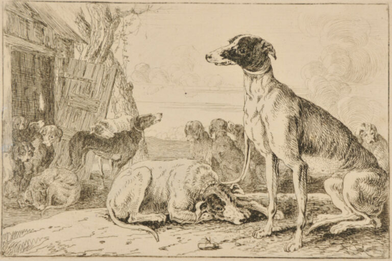 THE KENNEL