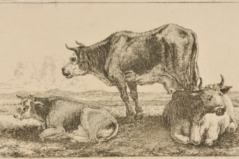 THE THREE COWS