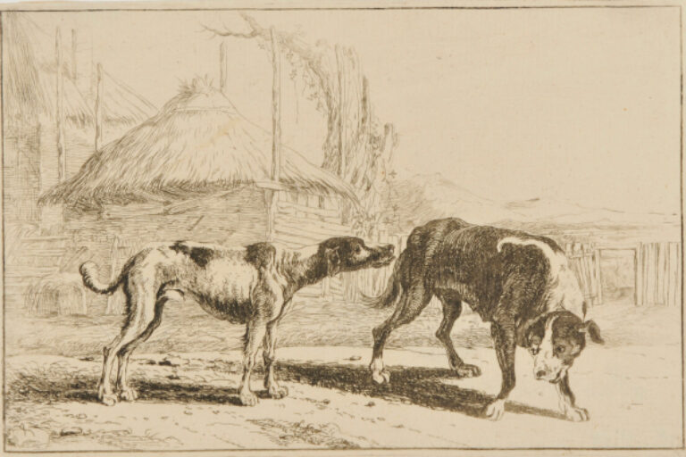 THE TWO DOGS
