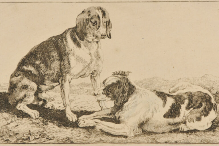 THE TWO DOGS RESTING