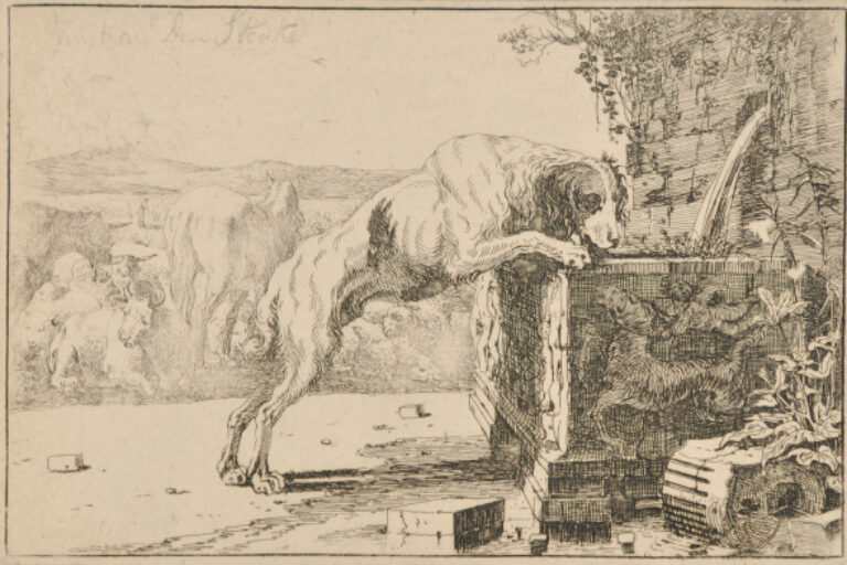 THE DOG AT THE FOUNTAIN