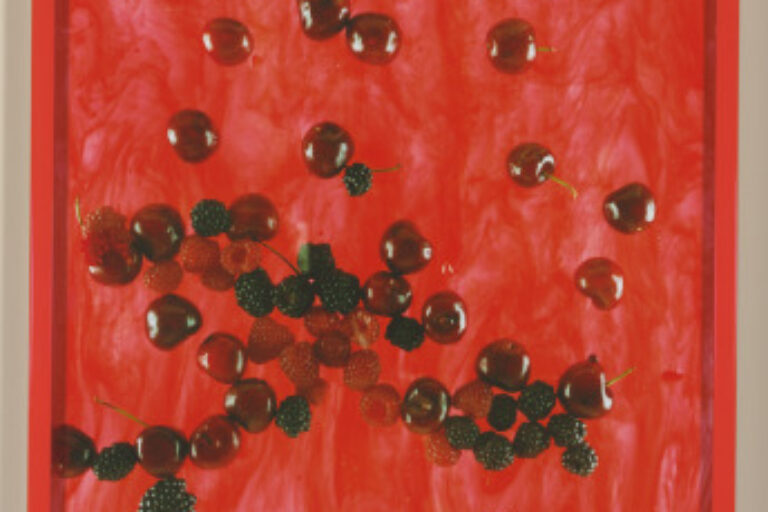 CHERRIES, RASPBERRIES, BLACKBERRIES (MARBLED)