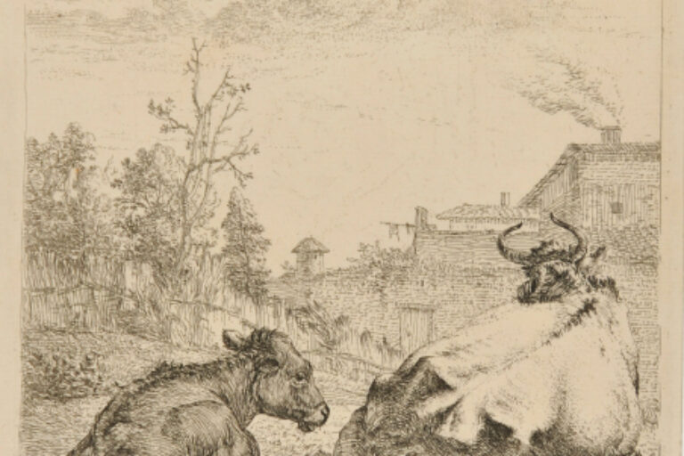 THE COW AND CALF
