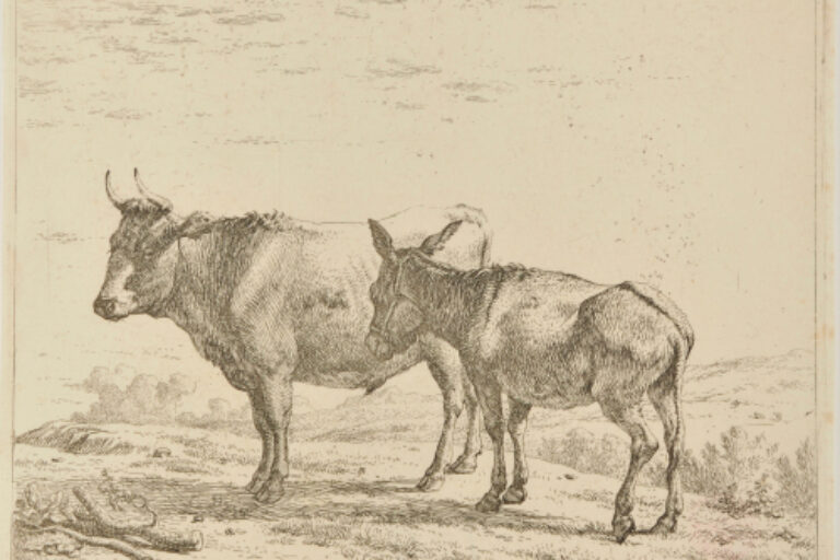 THE OX AND THE DONKEY