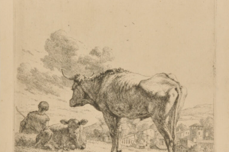 A STANDING BULL AND A RESTING CALF