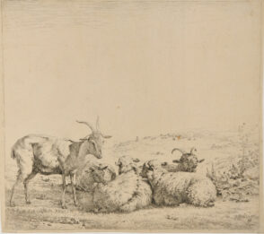 Two Goats and Three Sheep