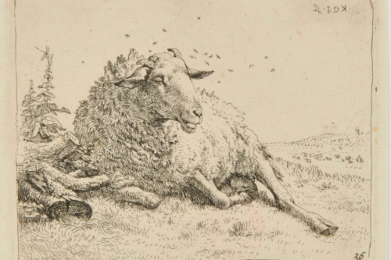 THE SHEEP RESTING NEAR A TREE TRUNK