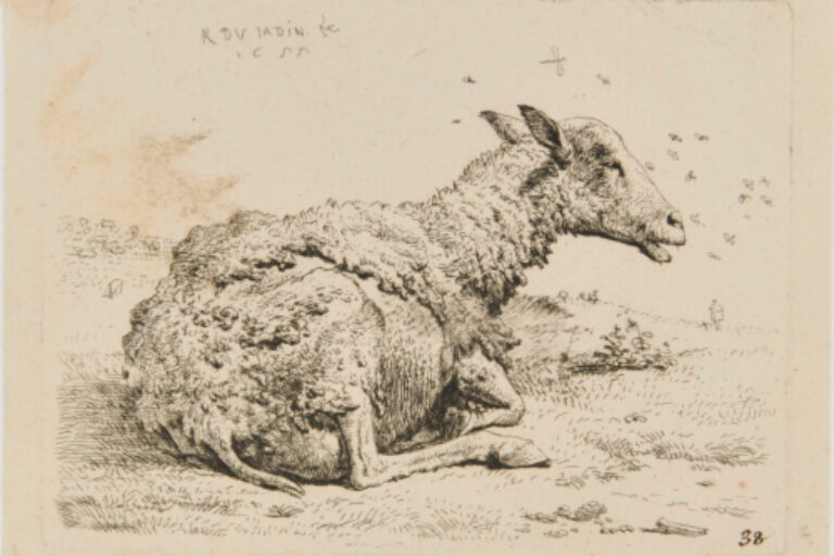 THE SHEEP AND THE FLIES