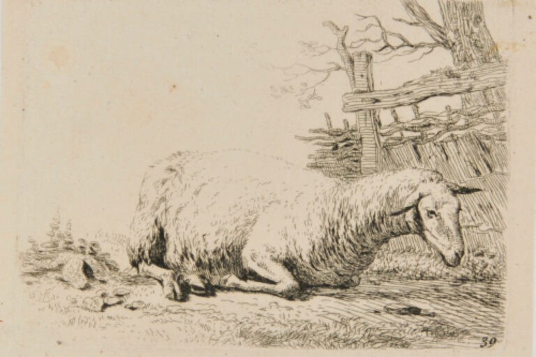 THE SHEEP BY THE STRAW FENCE